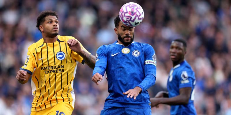 Đánh giá phong độ Brighton Hove Albion vs Chelsea