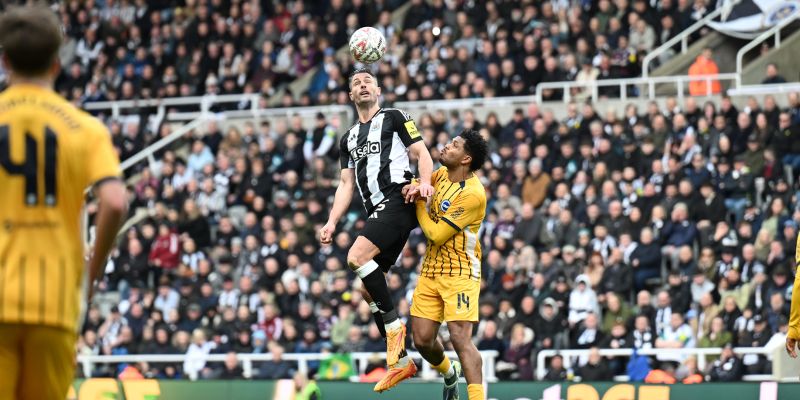Nhận Định Newcastle Vs Brighton Hove Albion Lúc 21:00 ngày 02/05- Ngoại Hạng Anh 3 Nhận xét phong độ Newcastle vs Brighton Hove Albion